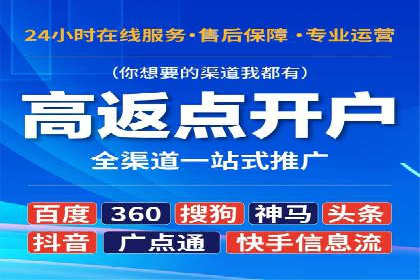 百度推广效果案例解析